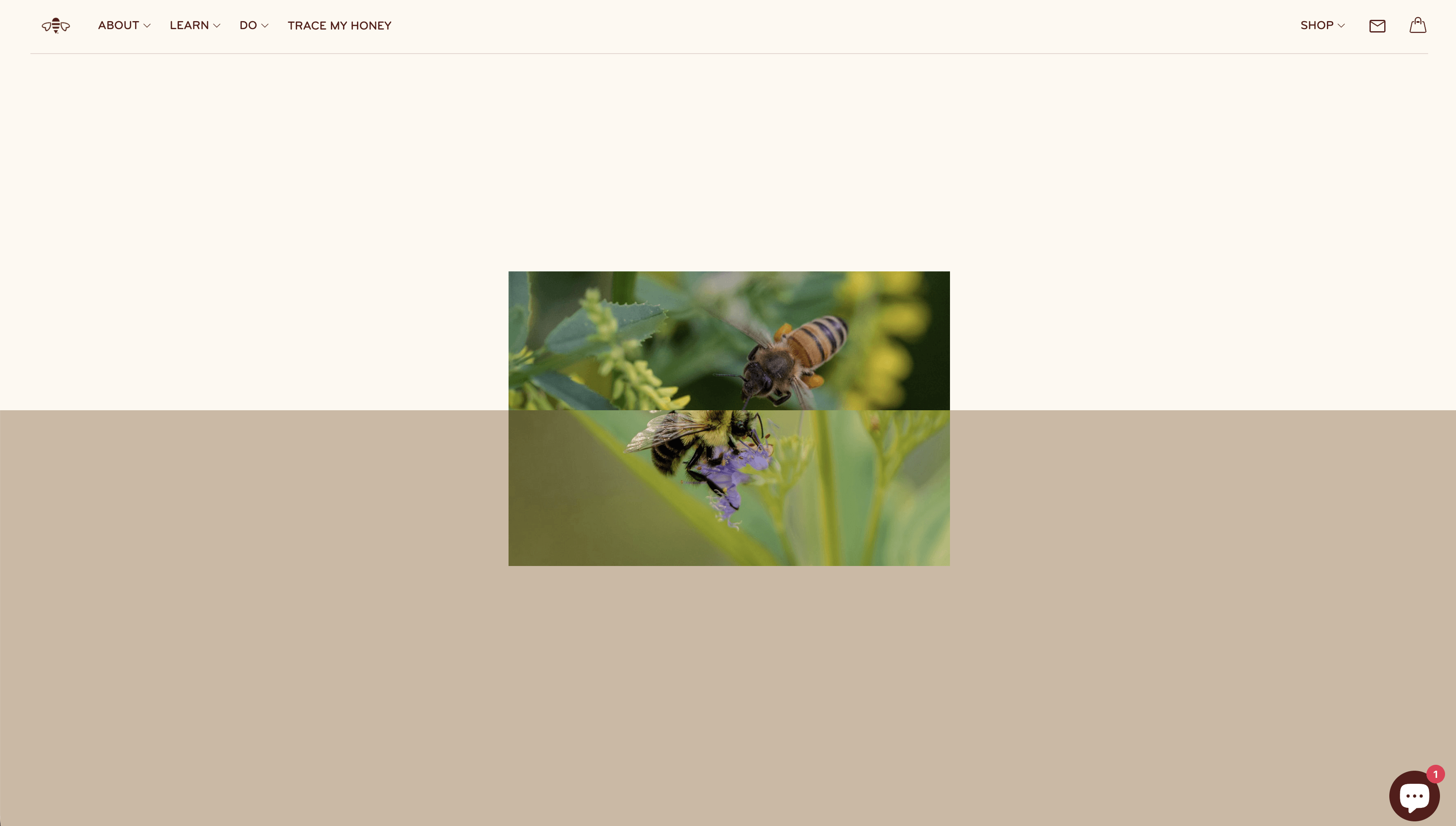 Beesponsible screenshot 4